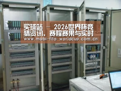买球站案例展示五