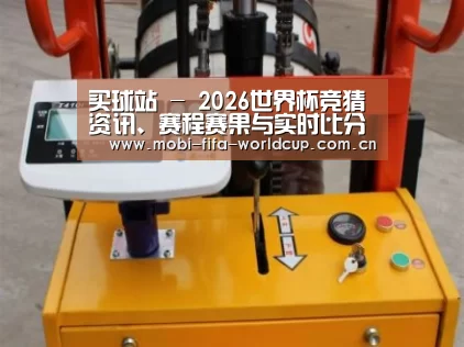 买球站案例展示三