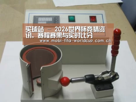 买球站案例展示六