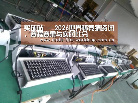 买球站案例展示一(图1)