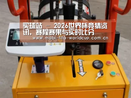 买球站案例展示三(图1)